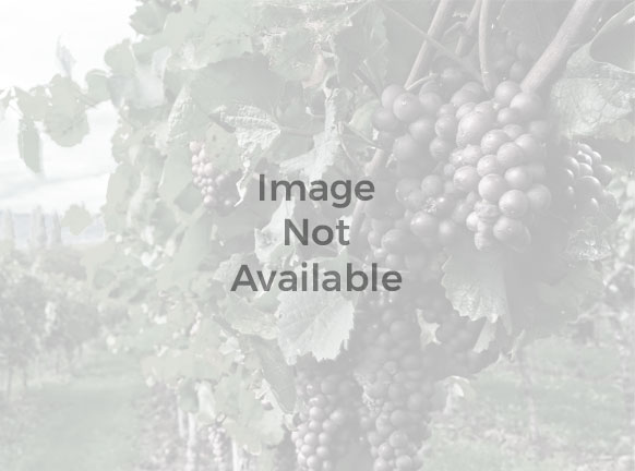 Baco noir